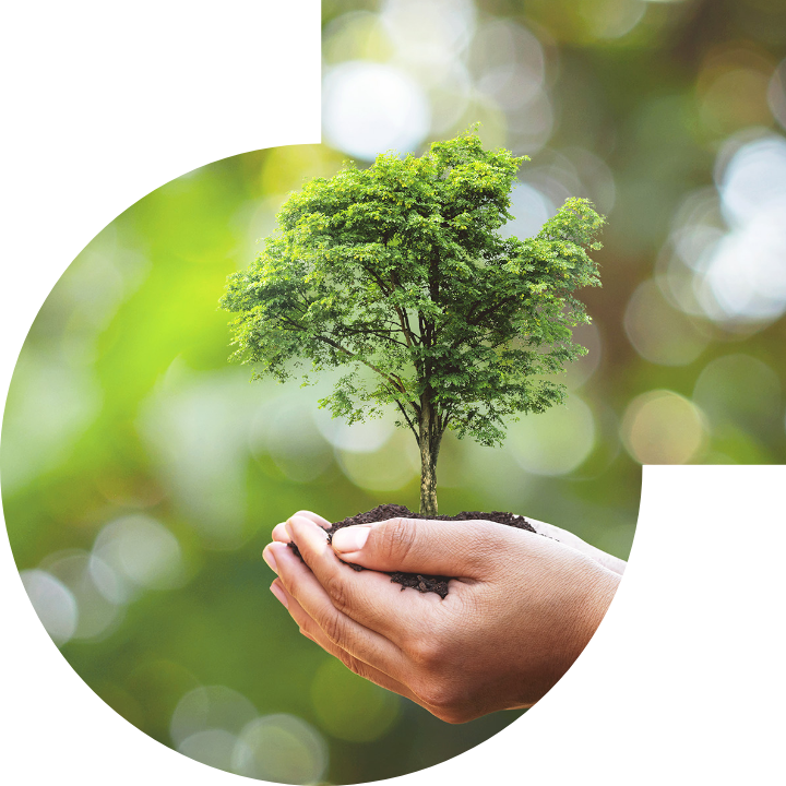 关怀人类、文化、环境与社会